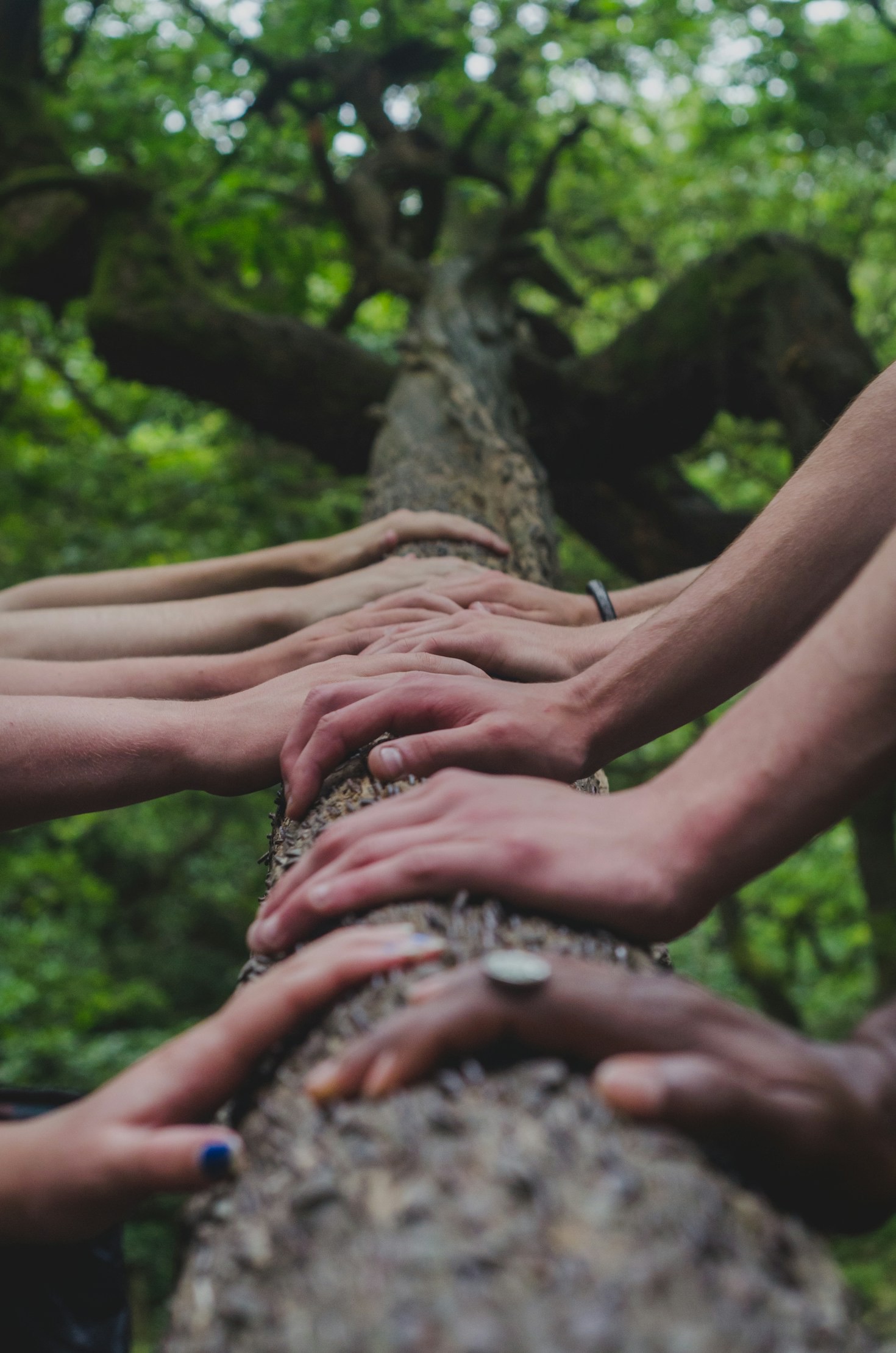 The Importance of Trauma-Informed Care in Modern Support